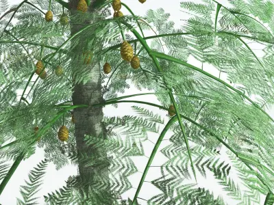 EVERYPlant Alethopteris Seed Fern 4 --12 Models-- 3D model