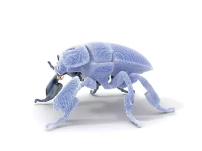 Robotic Beetle Orange model pack Low-poly 3D model