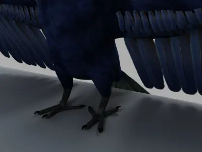Parrot Rigged and Animated 3D model