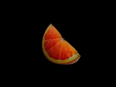 Orange Slice 3D model