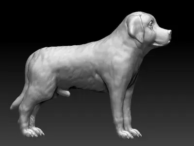CUTE DOG 3D Printed Model Free 3D print model