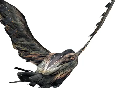 Crow Animated Low-poly 3D model