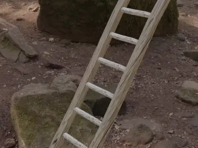 LADDER wooden in woods Free low-poly 3D model