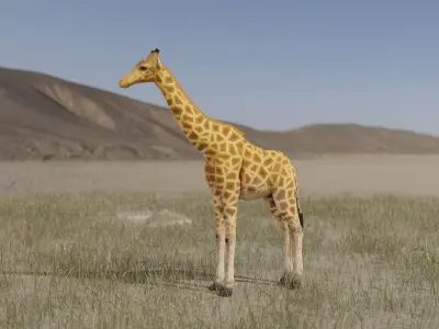 Giraffe Low-poly 3D model
