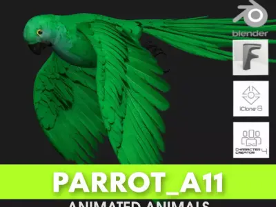 Parrot A11 3D model