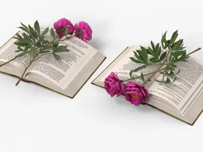 Open Book with Two Purple Peony Flowers 3D model