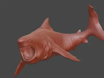Great White Shark - 3D Model 3D model