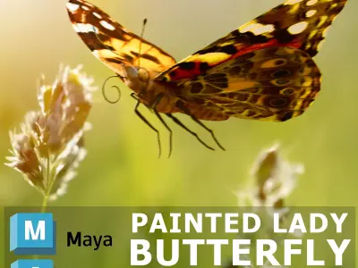 Painted Lady - Butterfly Rig - Animated 3D model