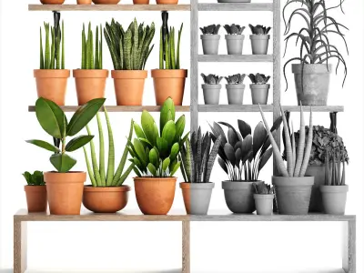 collection of plants in clay pots PART 1 3D model