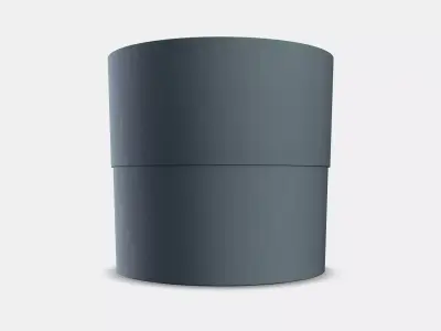 NYPON of the Raven 3D model