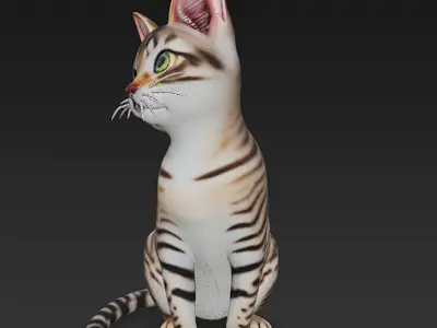 Cat Realistic 3D Model Basic - Low Poly Realistic  Low-poly 3D model