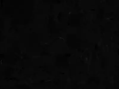 Cute Cartoon Raccoon 3D Model Low-poly 3D model