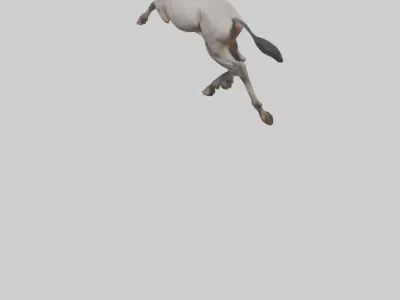 Indian Wild Ass running model Low-poly 3D model