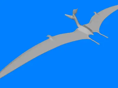 Pteranodon Sternbergi D 3D model
