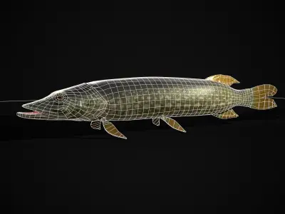 Northern Spotted Pike Low-poly 3D model