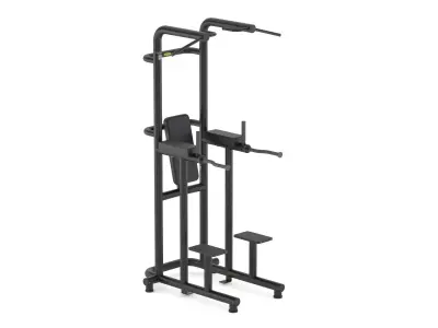 Technogym Bench Chin Up Dip Leg Raise 3D model