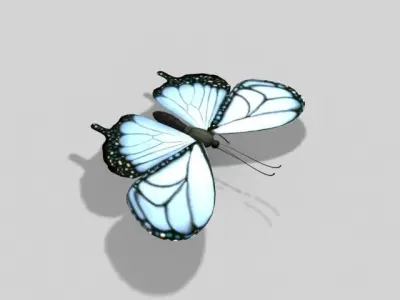 Butterfly 3D model 3D model