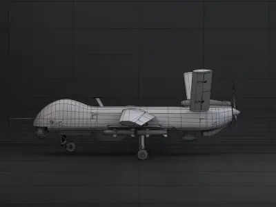 tai anka s Low-poly 3D model