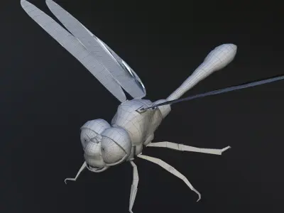 dragonfly cartoon rigged character  3D model