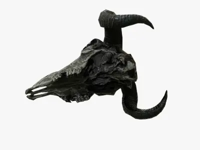 Animal Skull Low-poly 3D model