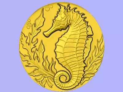 CAVALO MARINHO 3D model