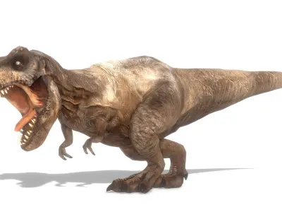 Tyrannosaurus Rex Animated Low-poly 3D model