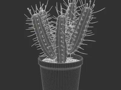  Euphorbia Cactus Potted Plant Model 