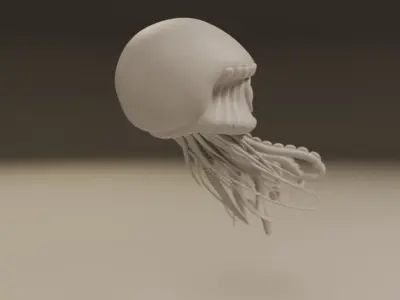 jellyfish 3D print model