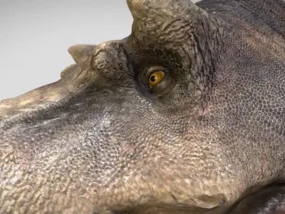 Tyrannosaurus rex Scotty Elder Low-poly 3D model