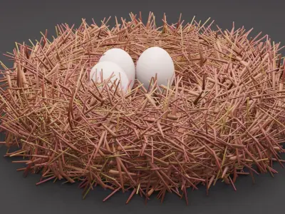 Bird Nest Free 3D model