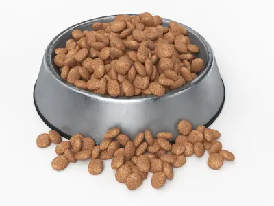 Pet Food Bowl Metal With Food 3D model