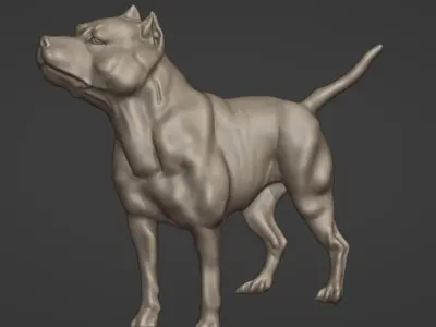 Bull Dog 3D model