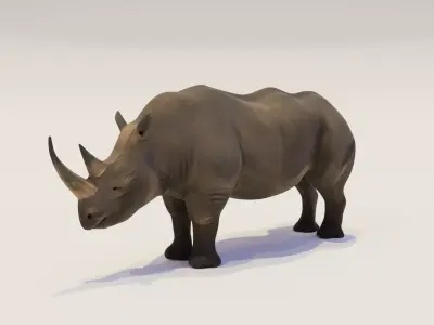 Rhinoceros Low-poly 3D model Low-poly 3D model