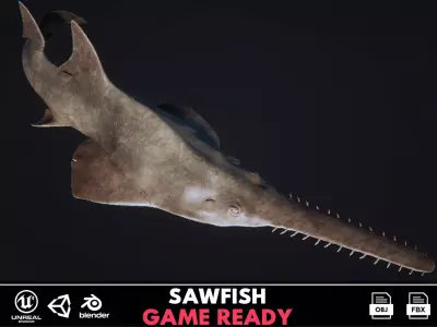Sawfish shark with long tail Low-poly 3D model