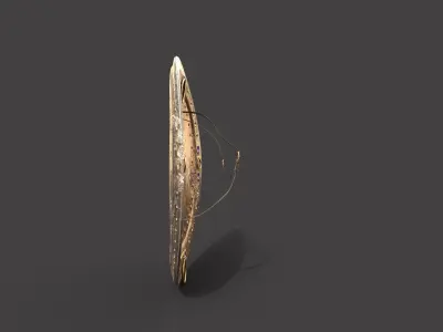 ANCIENT EGYPTIAN WAR SHIELD 3D MODEL Low-poly 3D model