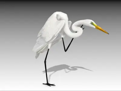 Egret Low-poly 3D model