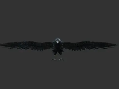 crow  bird Low-poly 3D model