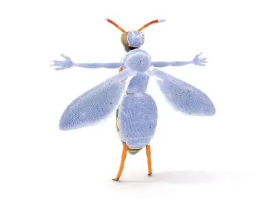 Vivid Wasp Insect model pack Low-poly 3D model