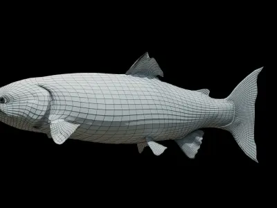 Chinook Salmon Low-poly 3D model