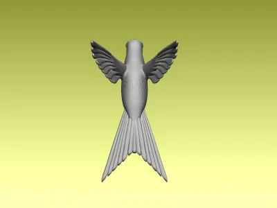 colibri humming bird 3D model