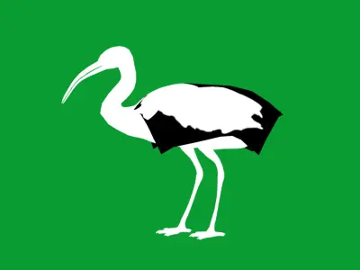 Scarlet Red Ibis Bird Low-poly 3D model