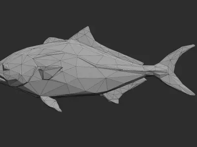 Low Poly Banded Rudderfish Low-poly 3D model