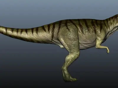 Ceratosaurus dinosaur 3D model