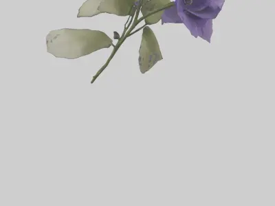 Canterbury Bell model Low-poly 3D model