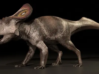 Protoceratops Asset Pack Low-poly 3D model