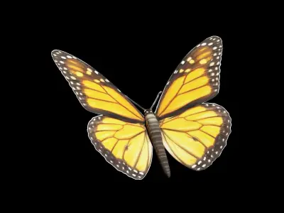 Butterfly fully rigged and animated Low-poly 3D model