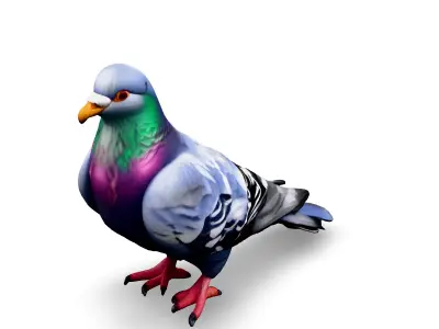 Realistic Animated Pigeon 3D Model Low-poly 3D model