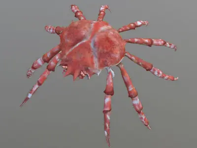 Crab for Game 3D model