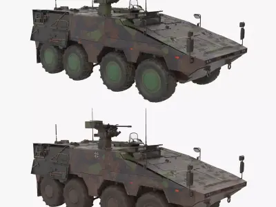 APC Boxer Brown Clean and Dirt 3D model