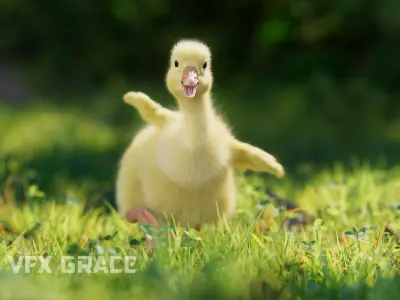 Little Goose Animation VFX Grace 3D model